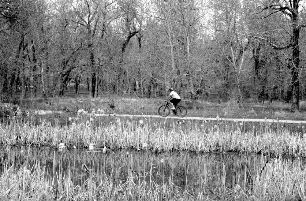 man riding a bike in Pearce Estate Park