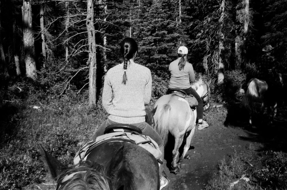 horseback riding up to the Lake Agnes Teahouse