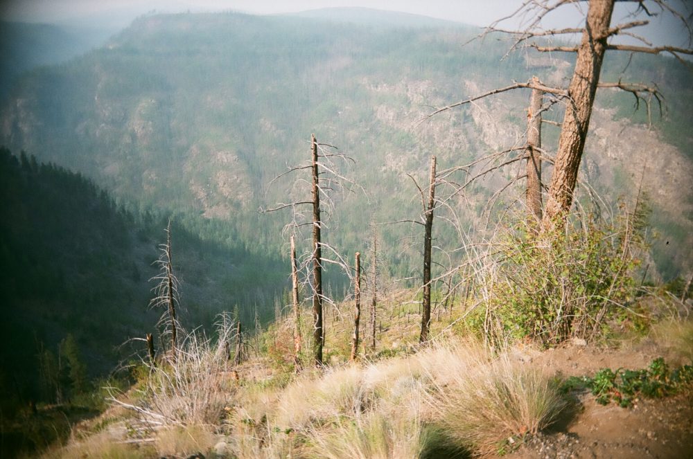 Myra Canyon