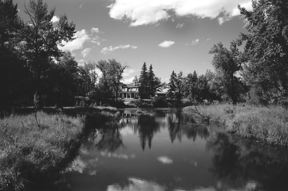 Inglewood Bird Sanctuary