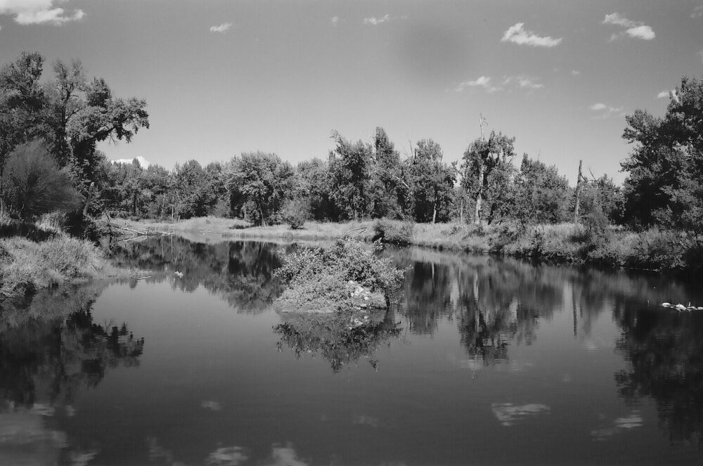 Inglewood Bird Sanctuary